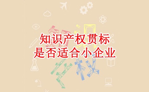 蘇州知識產(chǎn)權(quán)貫標(biāo)，蘇州科技項(xiàng)目咨詢公司知識產(chǎn)權(quán)貫標(biāo)是否適合小企業(yè)