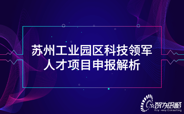 蘇州工業(yè)園區(qū)科技領(lǐng)軍人才項目咨詢解析.jpg