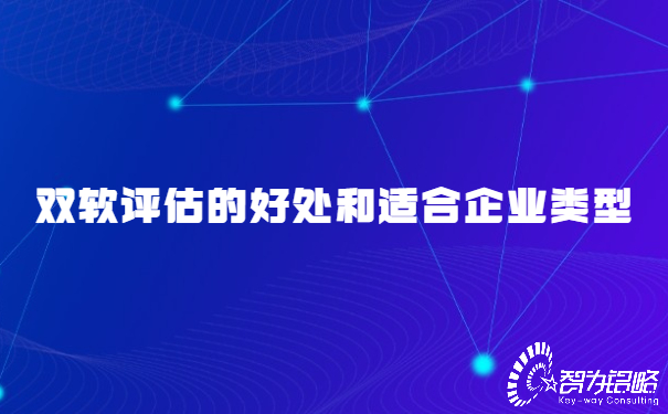 雙軟評估的好處和適合企業(yè)類型