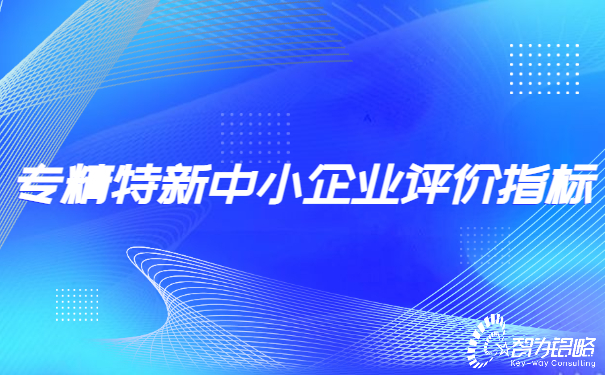 專精特新中小企業(yè)評價(jià)指標(biāo).jpg