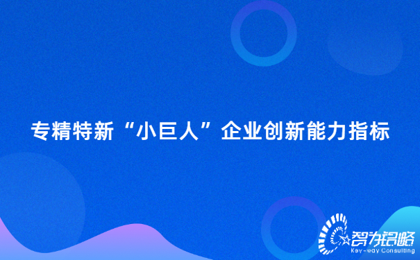 專精特新“小巨人”企業(yè)創(chuàng)新能力指標(biāo).jpg