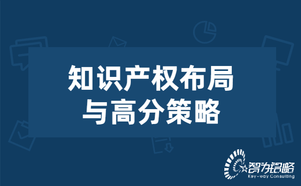 知識(shí)產(chǎn)權(quán)布局與高分策略.jpg