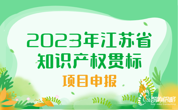 2023年江蘇省知識產(chǎn)權(quán)貫標項目咨詢