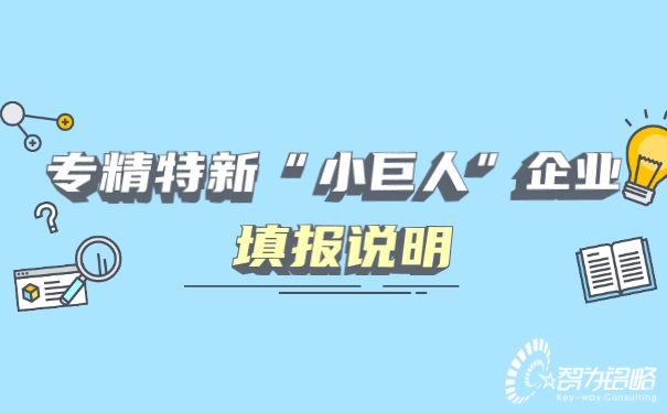 專精特新“小巨人”企業(yè)填報說明.jpg