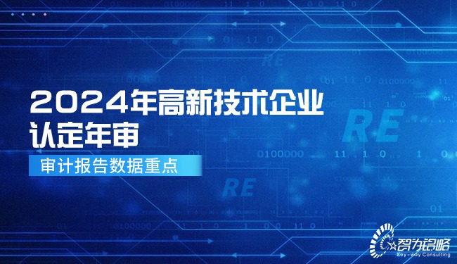 2024年高新技術(shù)企業(yè)認定年審—審計報告數(shù)據(jù)重點.jpg