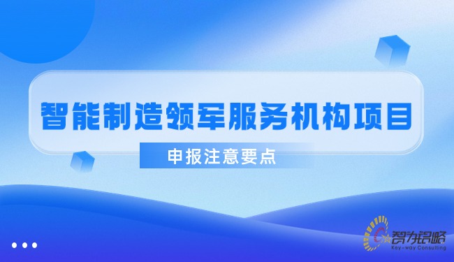 智能制造領(lǐng)軍服務(wù)機(jī)構(gòu)項(xiàng)目咨詢(xún)注意要點(diǎn).jpg