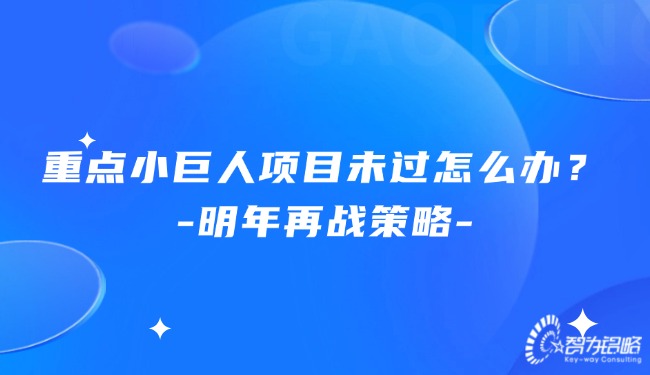 重點小巨人項目未過怎么辦？明年再戰(zhàn)策略.jpg