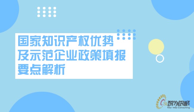 國家知識(shí)產(chǎn)權(quán)優(yōu)勢(shì)及示范企業(yè)政策填報(bào)要點(diǎn)解析.jpg